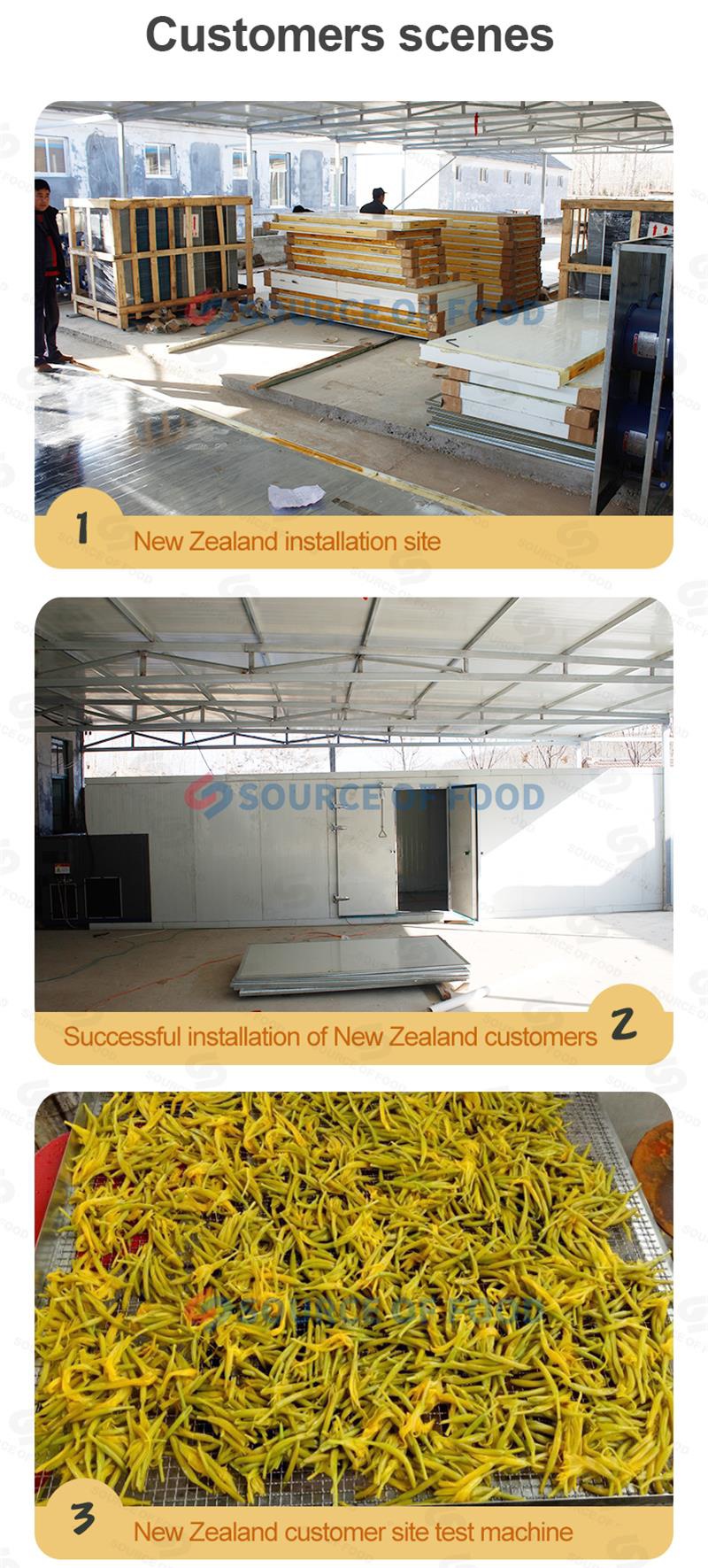 daylily drying equipment supplier