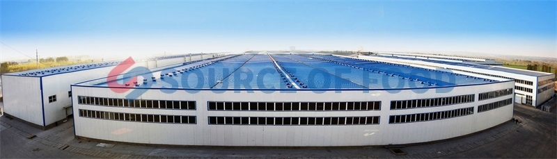 cabbage drying machine supplier