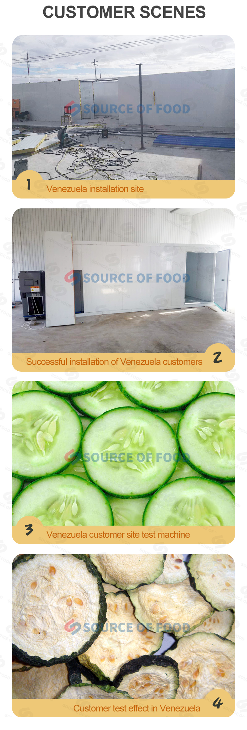 cucumber drying equipment