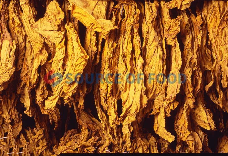 tobacco leaf dryer machine
