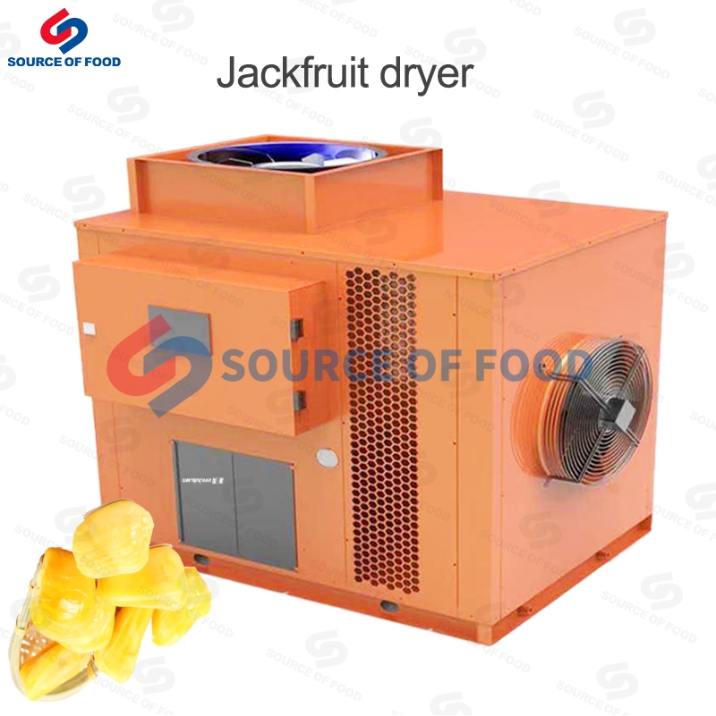 jackfruit dryer equipment