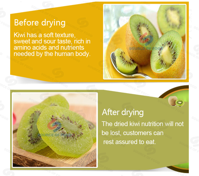 kiwi drying machine