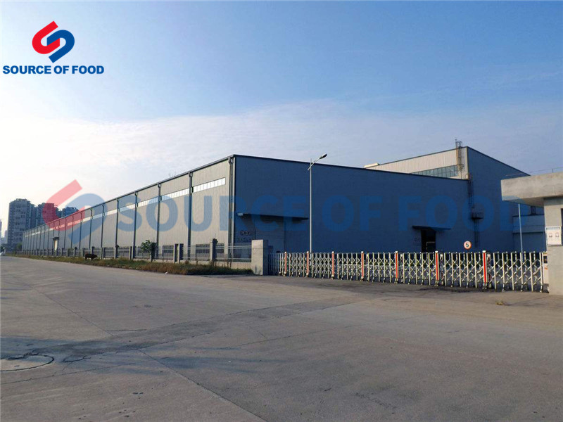 strawberry dryer equipment supplier