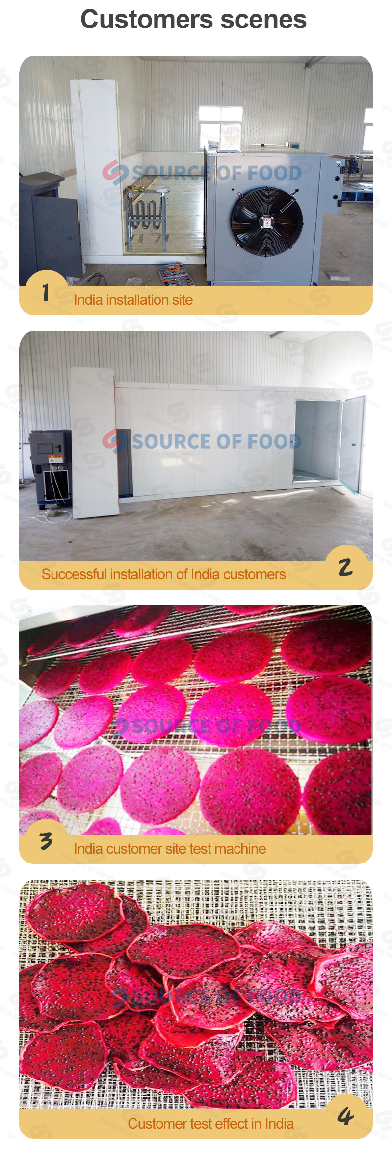 pitaya drying machine