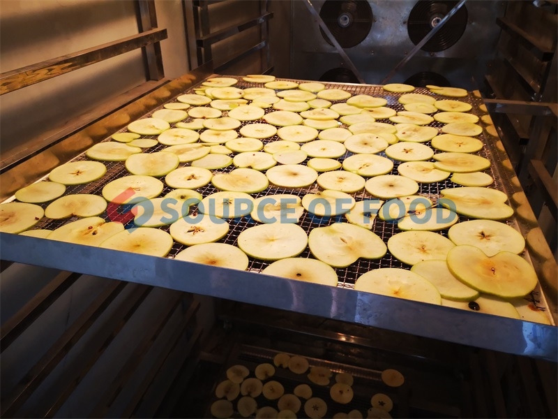 apple drying machine