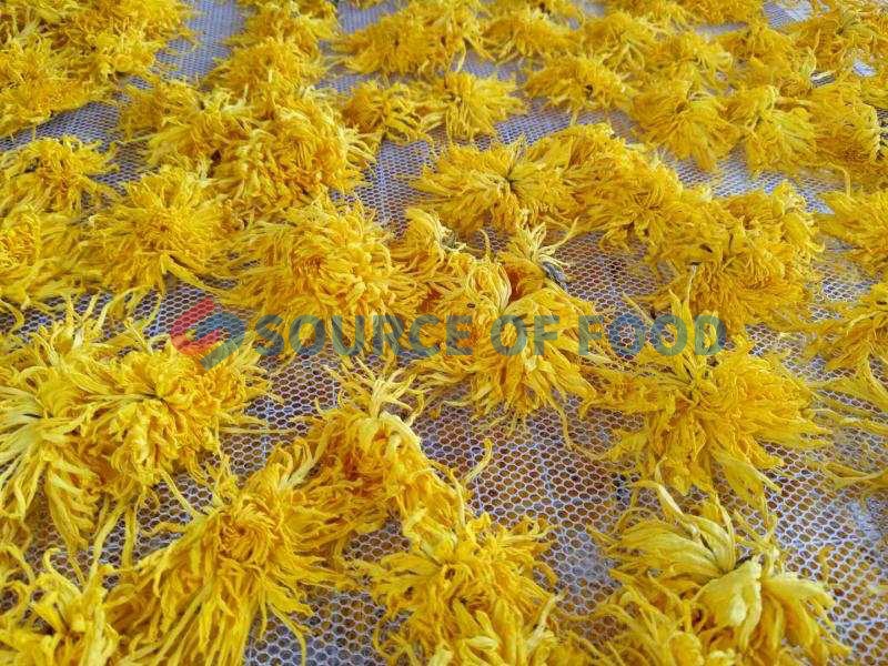chrysanthemum drying machine