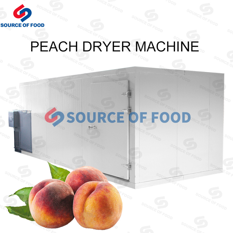 peach dryer equipment