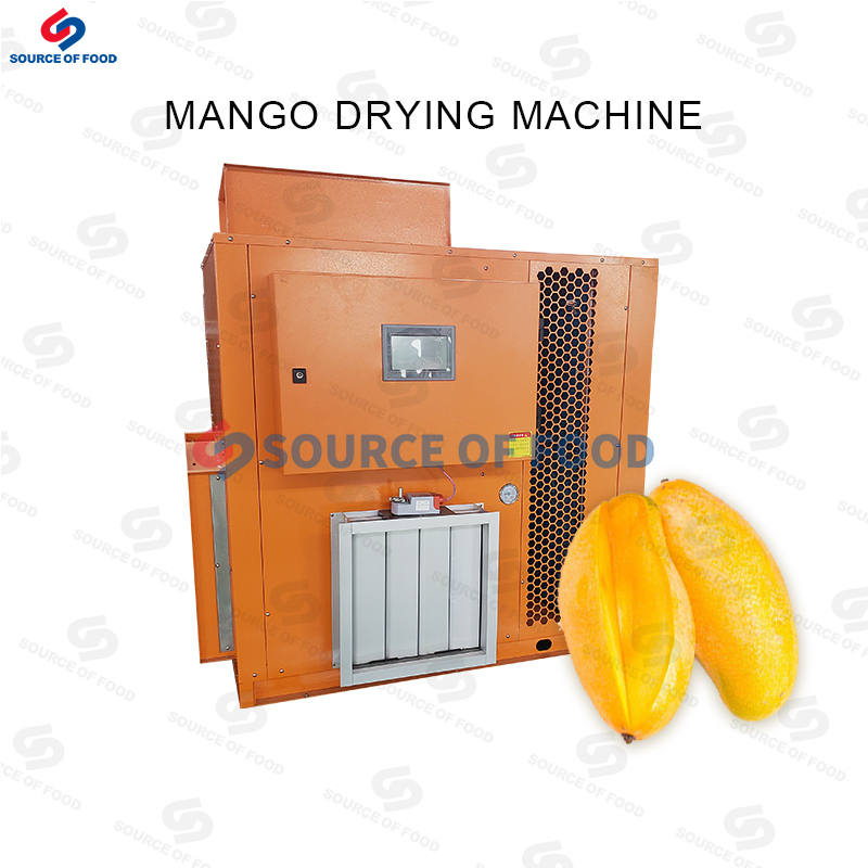 mango dryer equipment