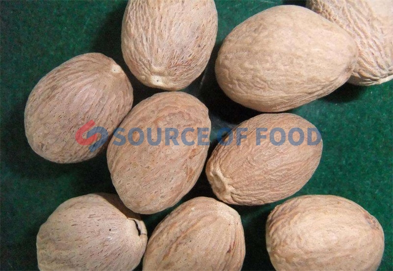 nutmeg dryer equipment