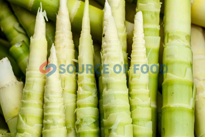 Bamboo shoot dryer machine will not lose the nutrition of materials