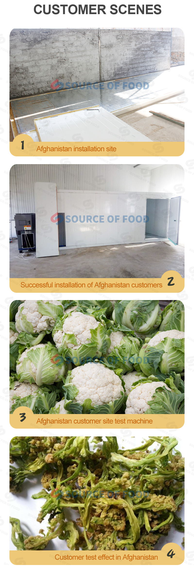 cauliflower dryer machine will not damage the nutritional value of materials.