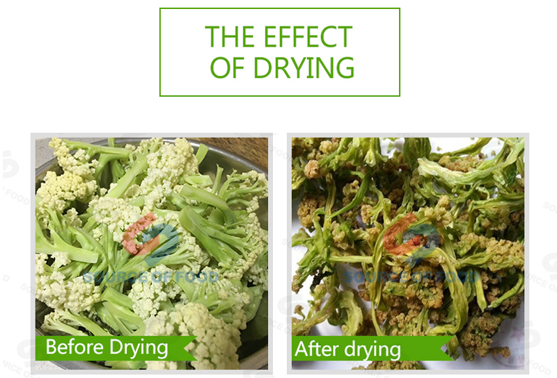 cauliflower dryer machine will not damage the nutritional value of materials.