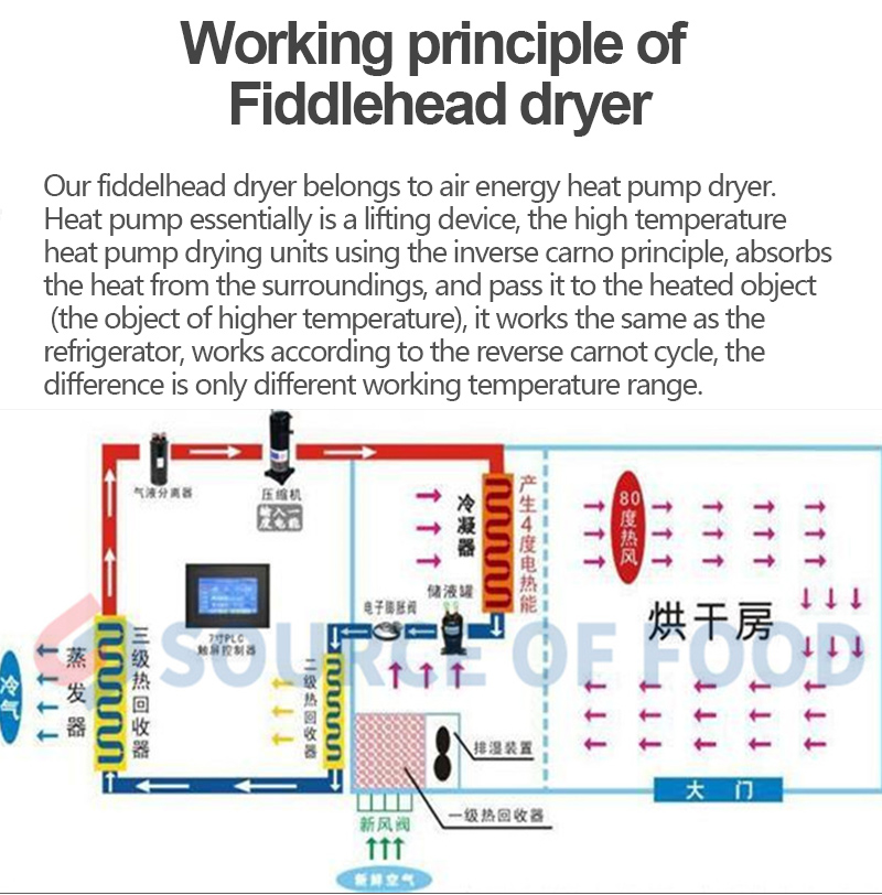 our fiddlehead dryer belongs to air energy heat pump dryer