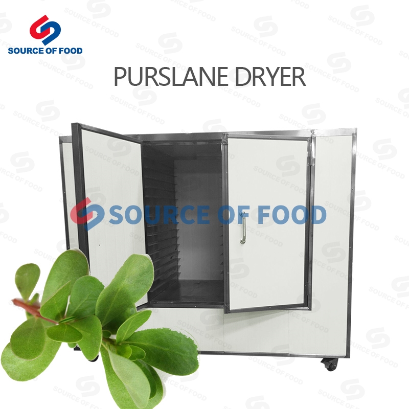 Purslane dryer machine belongs to air-powered heat pump