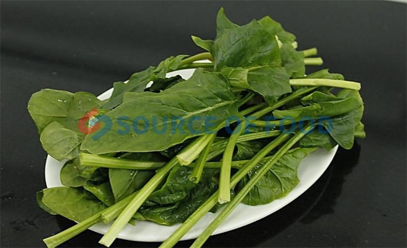 The spinach dryer machine does not damage its nutrients when drying the spinach.