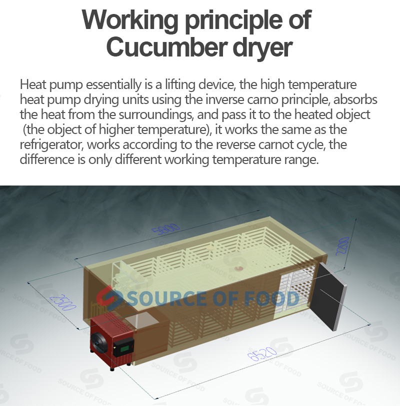 our cucumber dryer price is reasonable