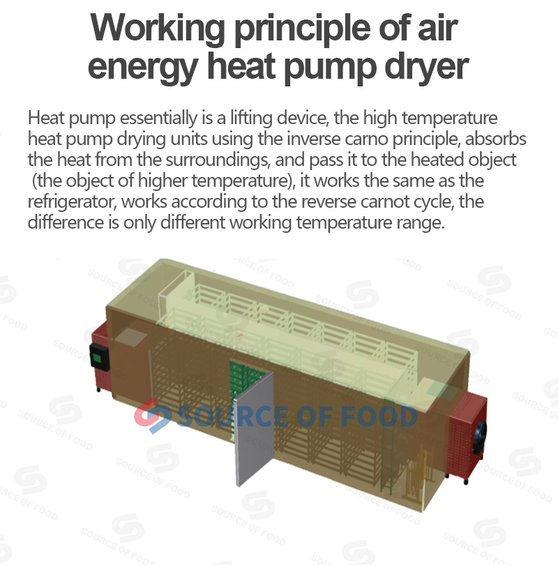 broccoli dryer machine belongs to air-energy heat pump dryer