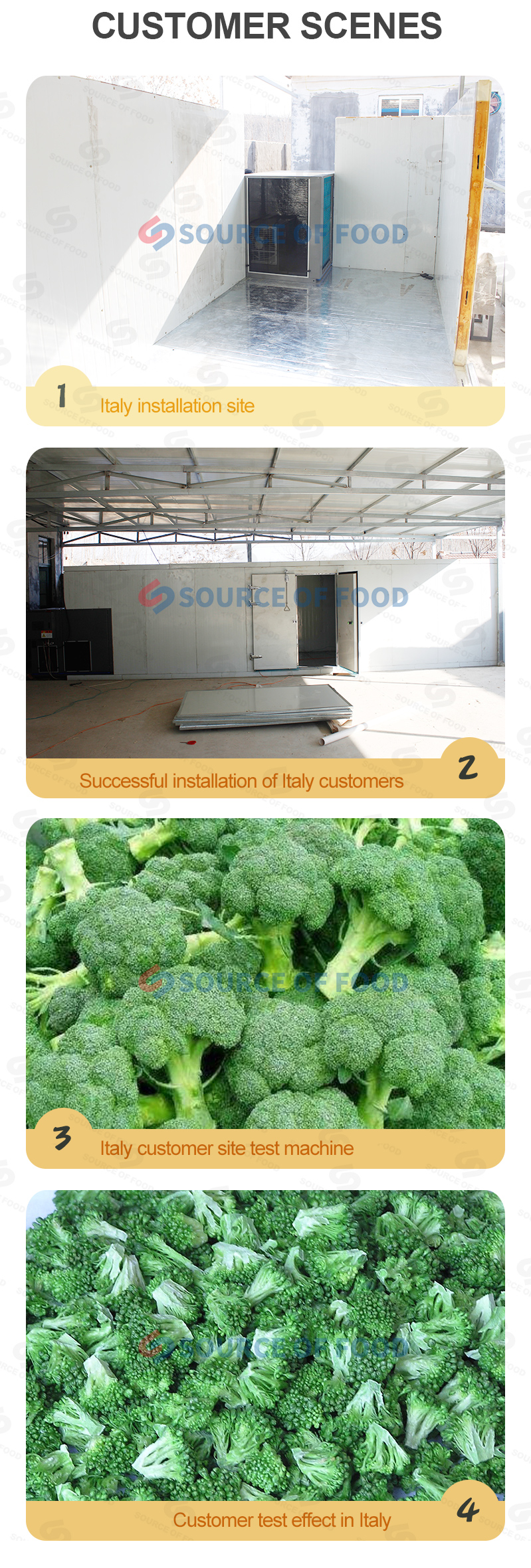  broccoli dryer for sale to Italy broccoli dryer received unanimous praise.