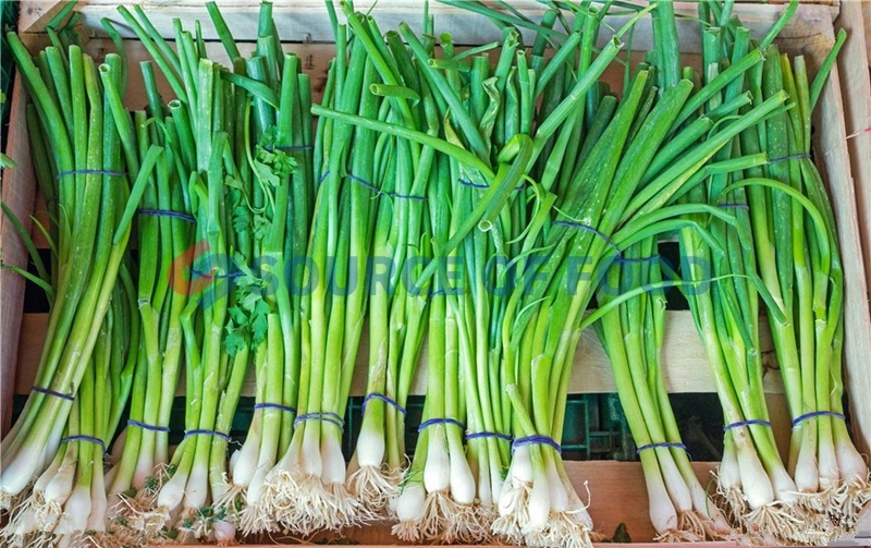 Our leek dryer is welcomed by many people