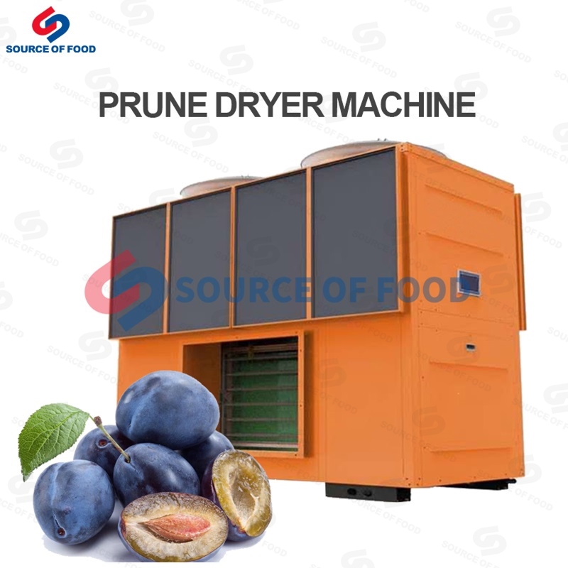 Prune can dried by our prune dryer machine