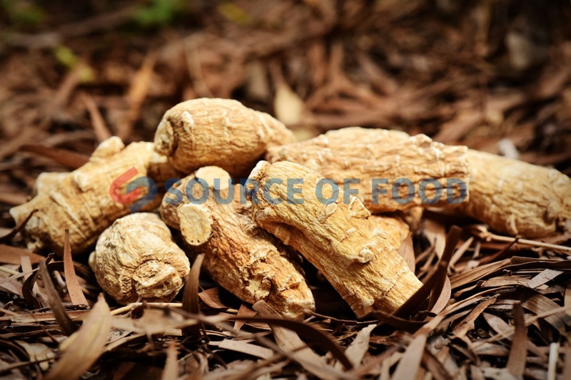 ginseng dryer will not lose the original medicinal value of ginseng