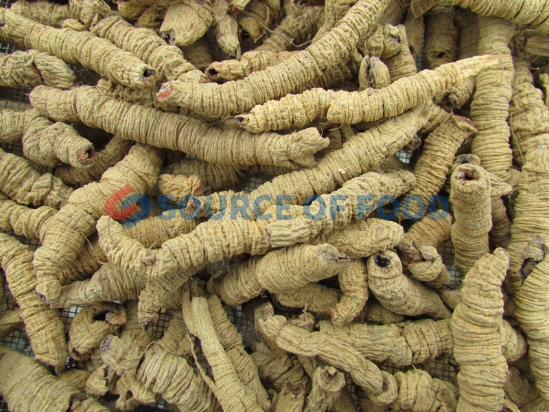 Eucommia dryer and Morinda Officinalis dryer will not loss their madicine value