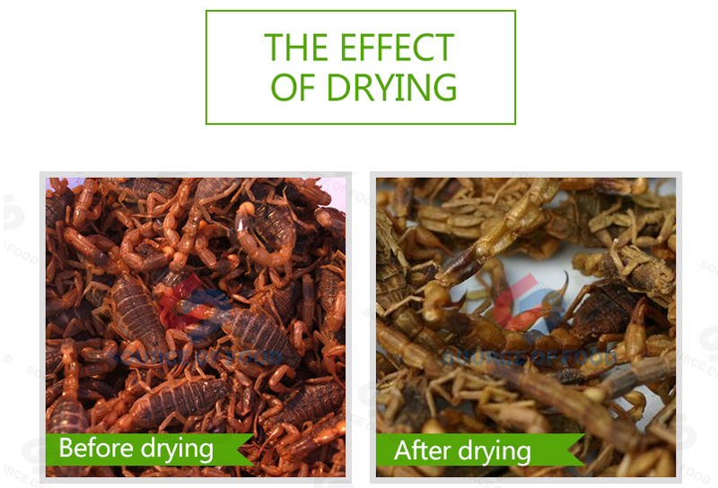 Our scorpion dryer machine is convenient for Chinese medicine after drying the scorpion.