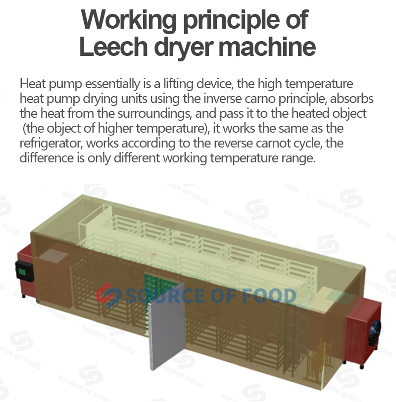The leech dryer machine belongs to air energy heat pump dryer
