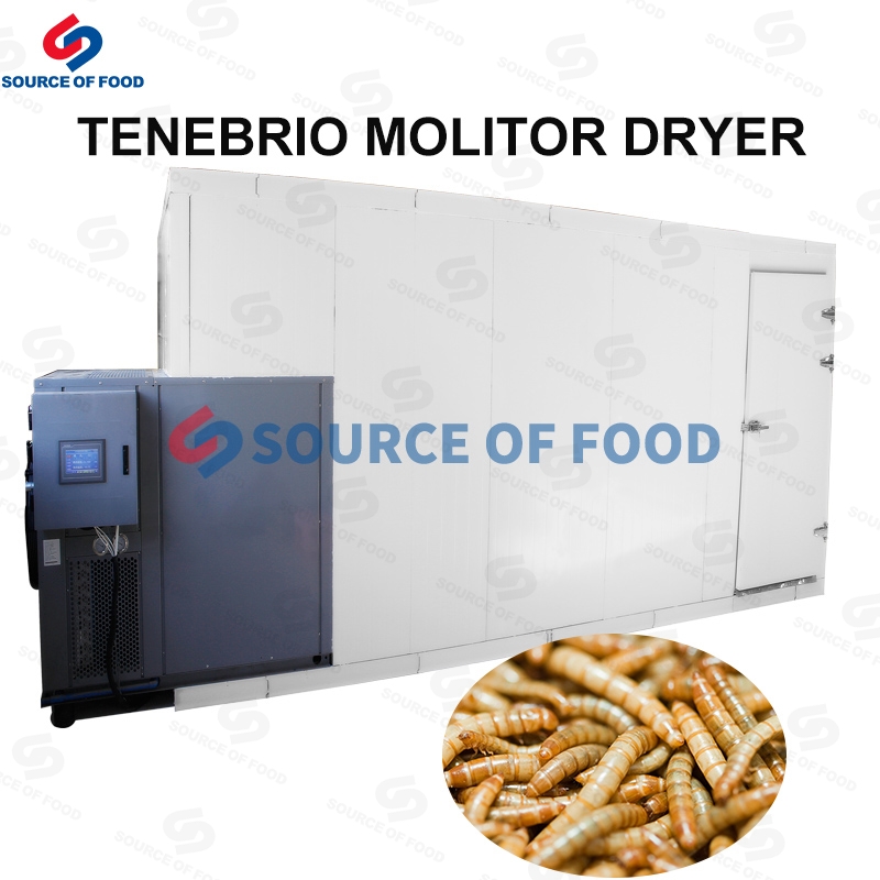 Our Tenebrio molitor dryer can also dry cicada slough,called cicada slough dryer