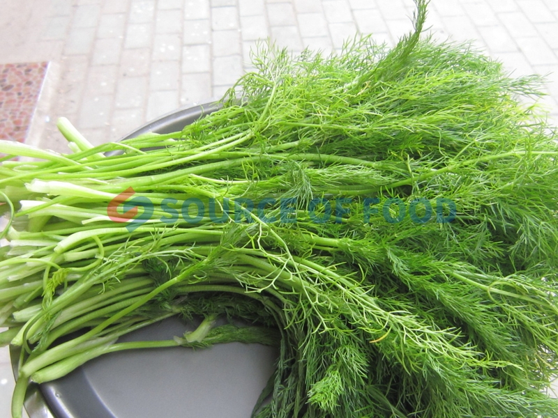 The fennel dryer is very popular for its easy operation and maintenance