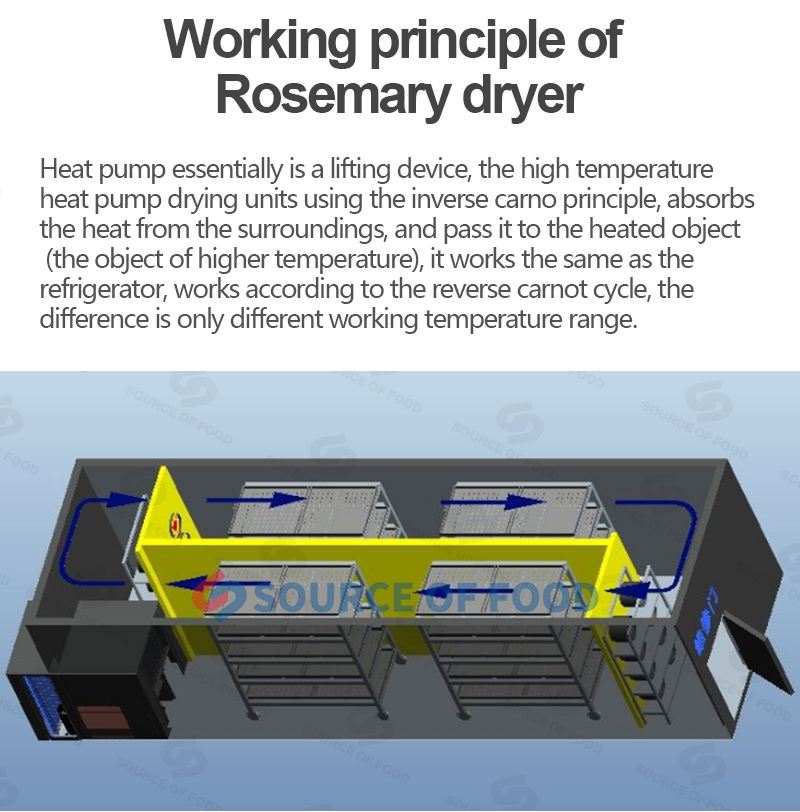 Rosemary dryer can dry rosemary,rosemary dryer machine belongs to air-energy heat pump dryer