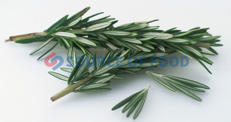 the rosemary dryer machine price is reasonable and it is very popular.