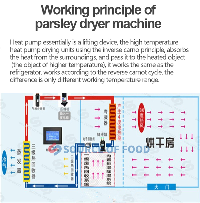 Our parsley dryer machine belongs to air energy heat pump dryer