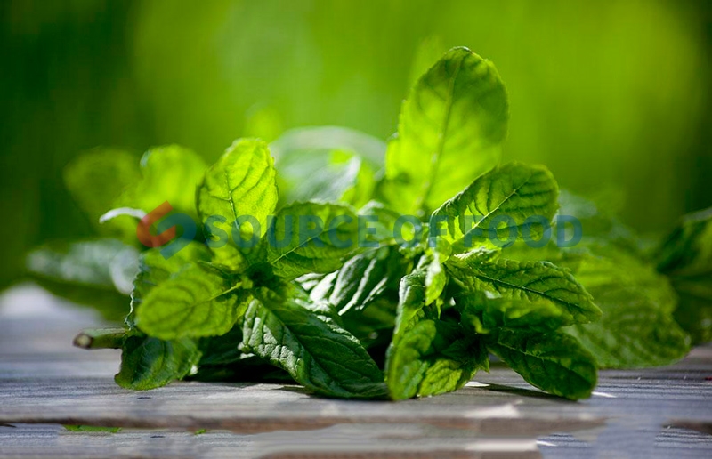 our mint dryer is easy to dried mint into traditional Chinese medicine