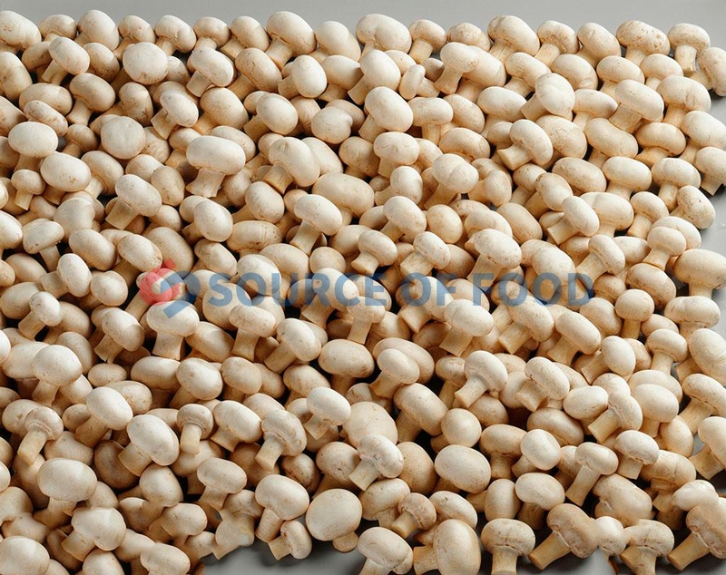 our straw mushroom dryer machine can well retain its nutritional value