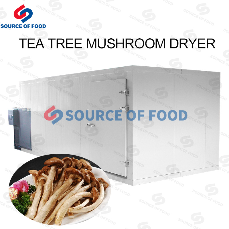 Our tea tree mushroom dryer belongs to air energy heat pump dryer