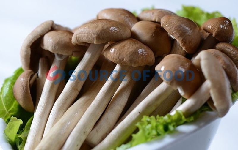 our tea tree mushroom dryer machine can well retain its nutritional value