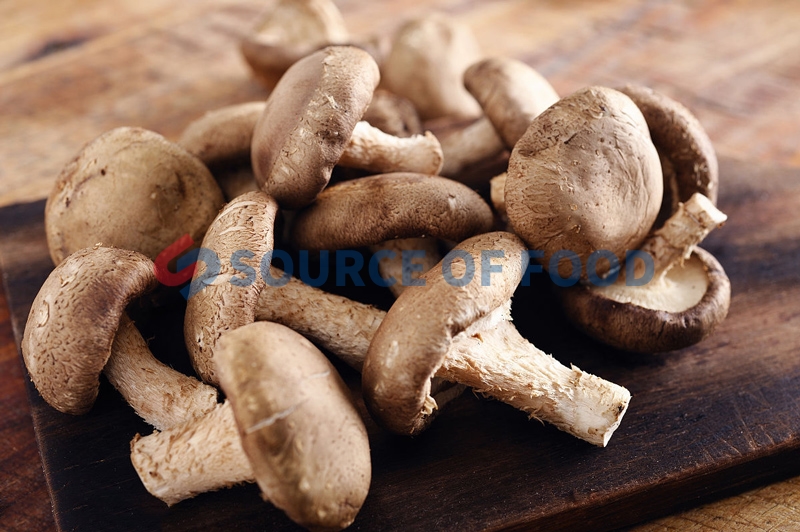 our mushrooms dryer machine can well retain its nutritional value
