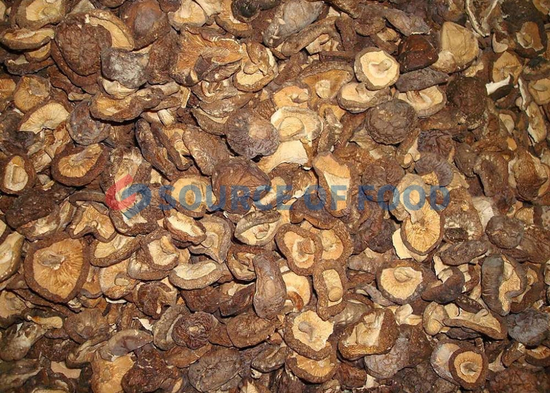 our mushrooms dryer machine can well retain its nutritional value