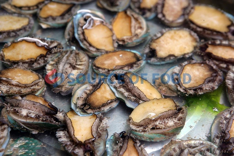 After drying with our abalone dryer can well preserve the nutritional value and edible value