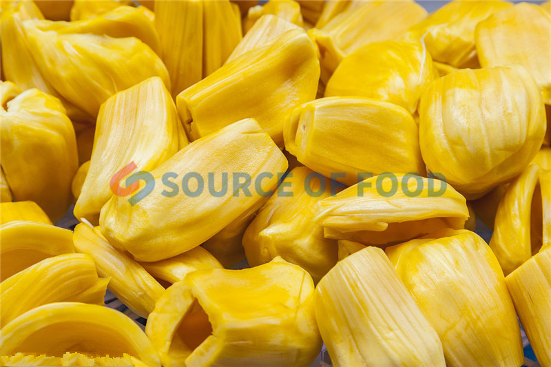 The jackfruit dryer machine for sale have reasonably price.