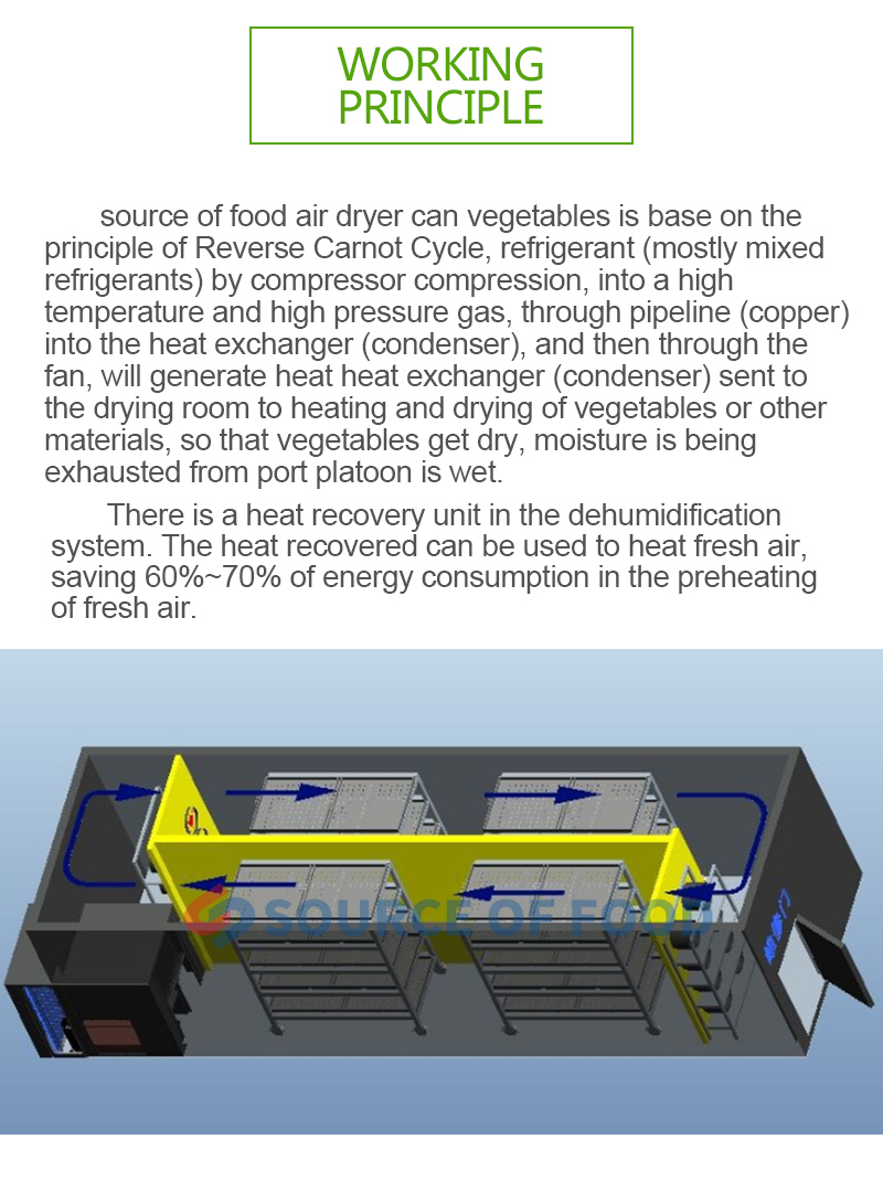 pineapple drying equipment belongs air energy heat pump drier.