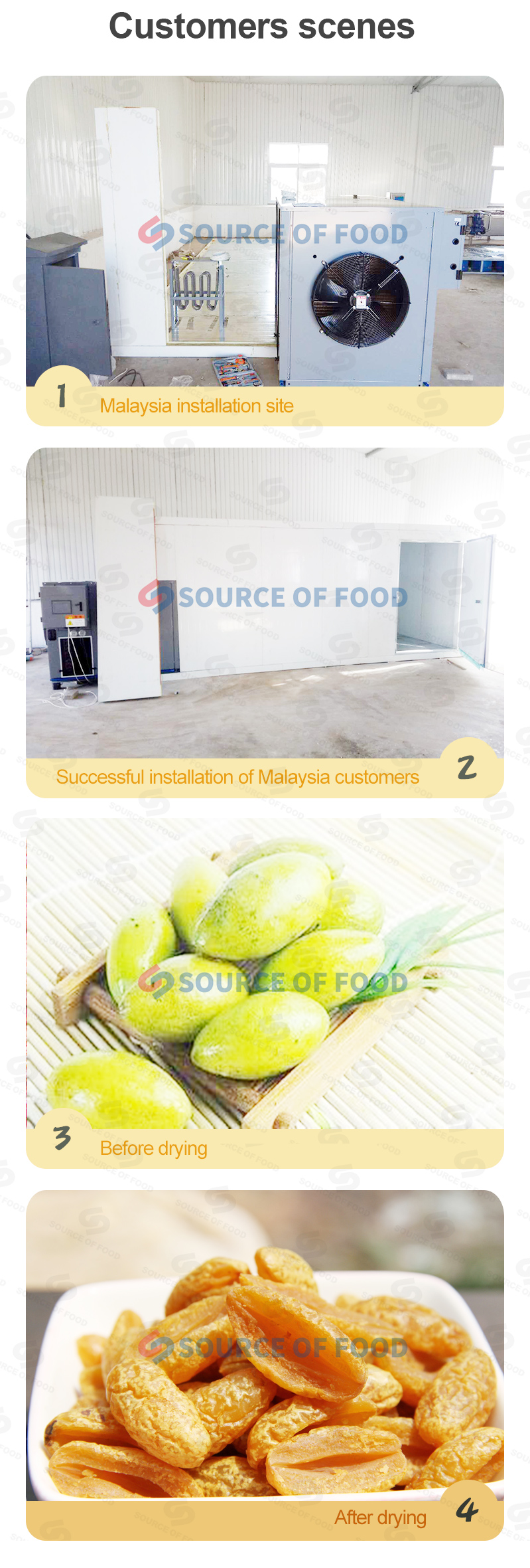 olive can be dried by our olive dryer,Our olive dryer machine are exported to Malaysia and other regions. 