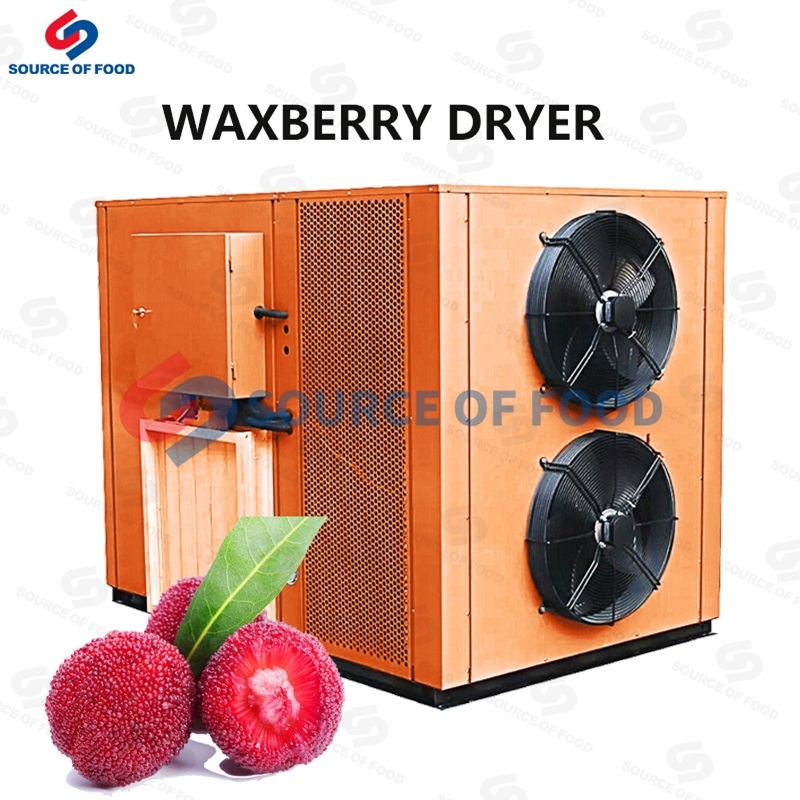 Waxberry has very high medicinal value and edible value