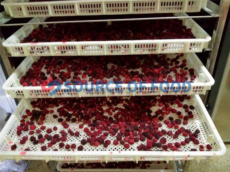 our waxberry dryer can make waxberry into dried waxberry and preser