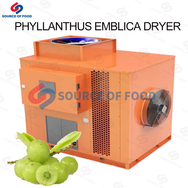 Our phyllanthus emblica dryer can make the fruit easy to carry and eat