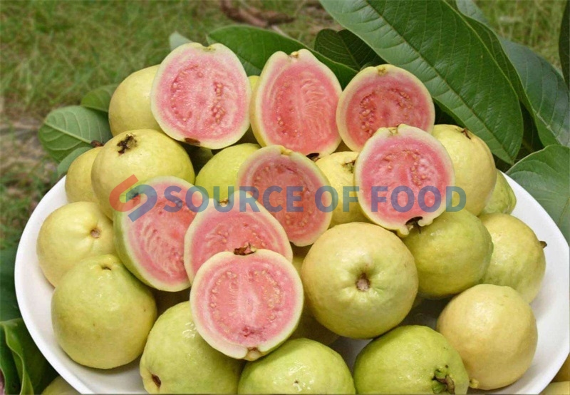 Guava can be dried by our guava dryer for medication and eat