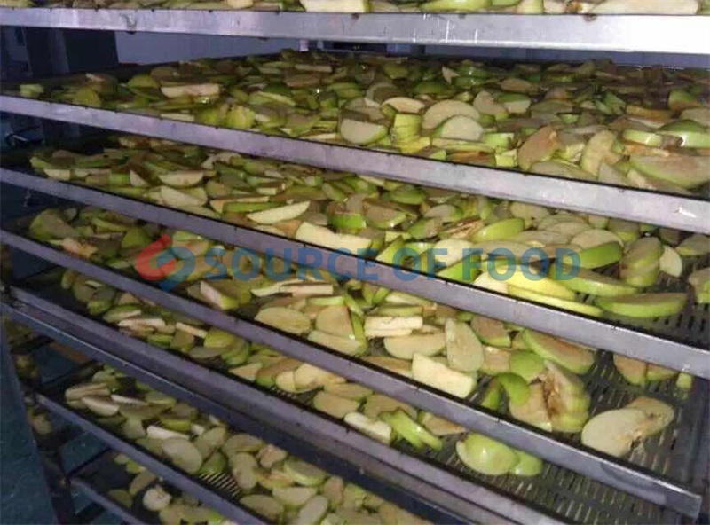 Guava can be dried by our guava dryer for medication and eat