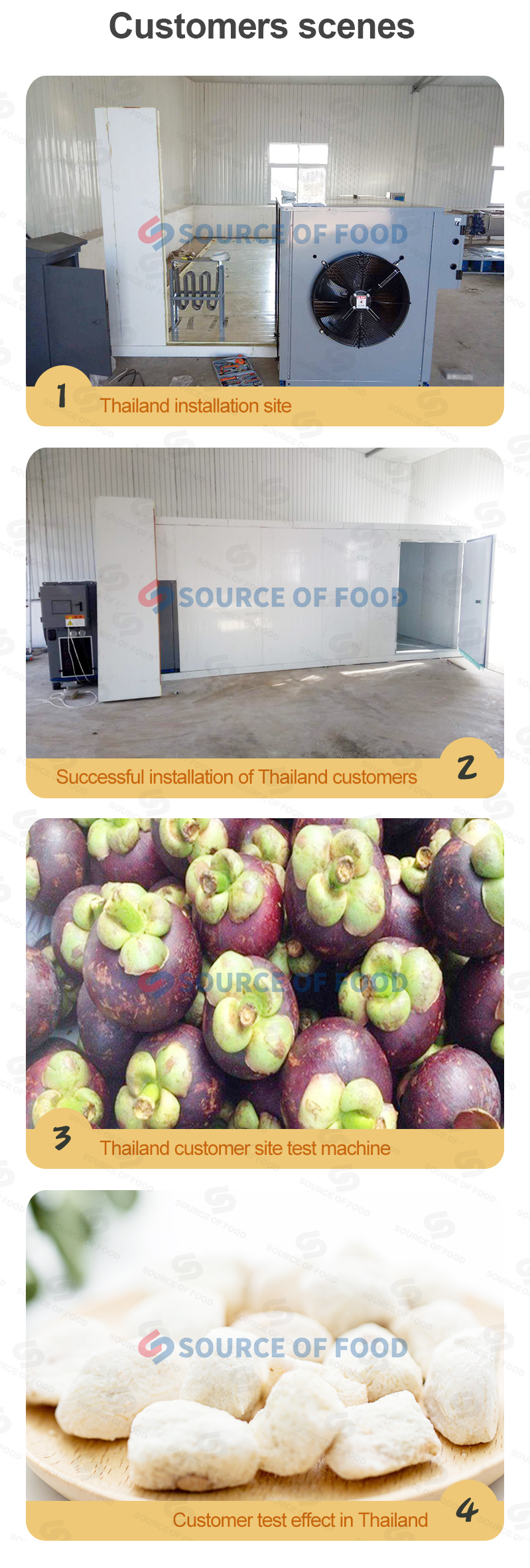 our mangosteen drying equipment is popular in Thailand.