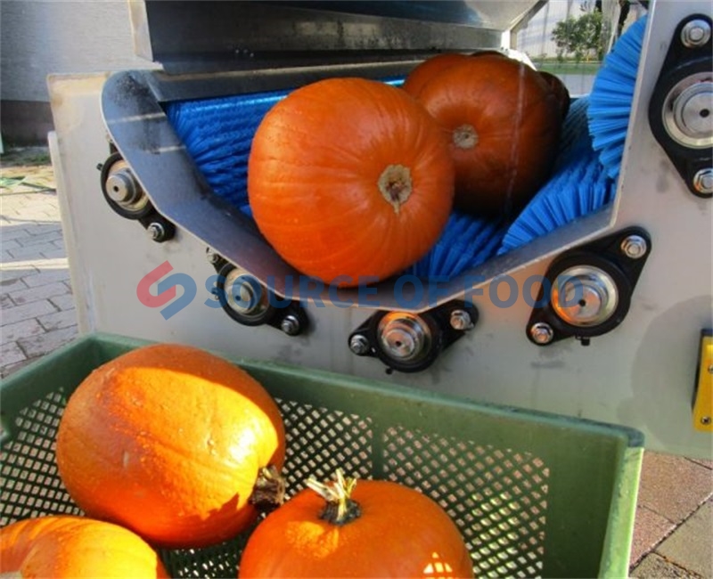 Our pumpkin washing machine belongs to the roller washing machine,our pumpkin washing machine in Mexico is very popular